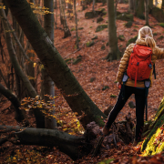 Women in winter cloths and a backpack standing in an autumn coloured forest