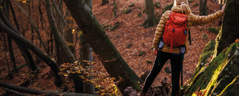 Women in winter cloths and a backpack standing in an autumn coloured forest